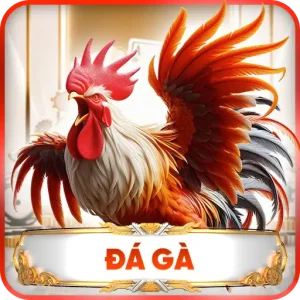 Đá Gà Z188 – Những Trận Đấu Kịch Tính Dành Cho Người Đam Mê Chọi Kê